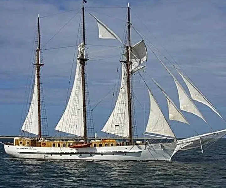 1531PS-2_JPG.jpg