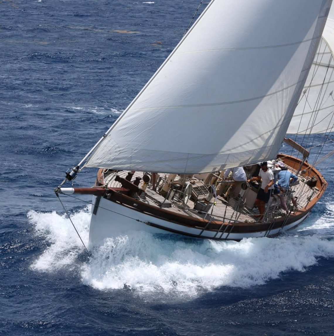 67553186_2586684948037942_3116466765769474048_n