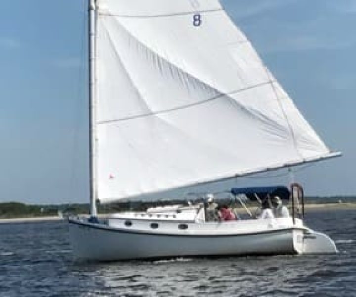 931FE32D-FFB4-4133-A3B5-43C7990152E1-Small