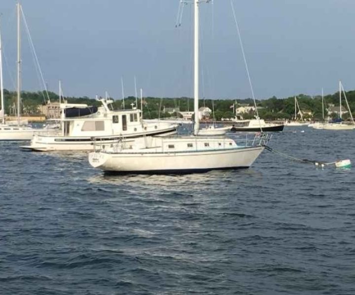 Screenshot_20260312_192136_Facebook