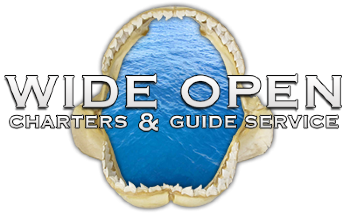 xWide-Open-Charters-Logo.pagespeed.ic_.EAIyY3Rp2P